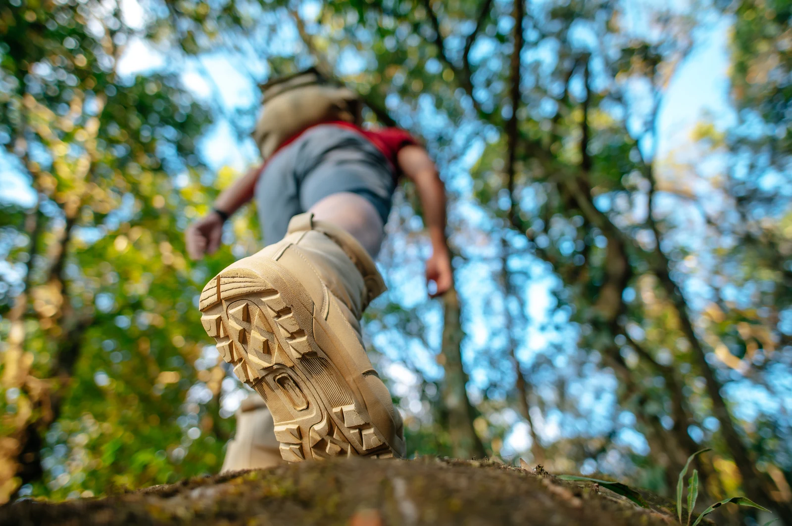 Camping & Trekking